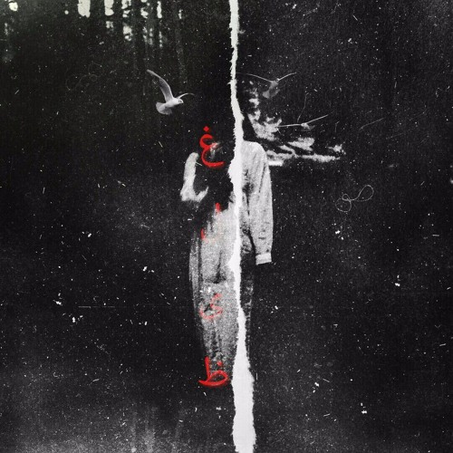 Qaliz(pro.sahand mz)