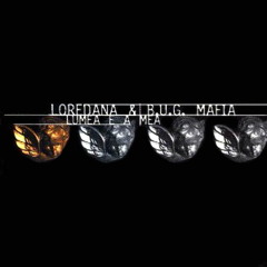 Loredana feat B.U.G. Mafia - Lumea e a mea (DJ Vasile remix )