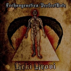 02 - Техногенетика Feat. PerfectHate - Реки Крови (Guitar Mix)