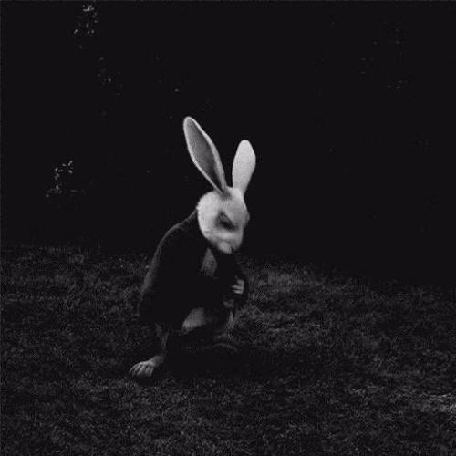 Why don't you wait for me? - Amigo