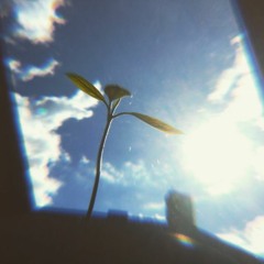 Sc Bumps Vol 1 (;) (episode 6)