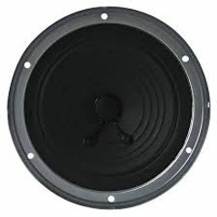 Play On Speakers Quite Loud... SPEAKER TESTER