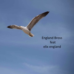 Never Say Good Bye  - England.Bross (vocal by elix england)