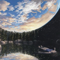 Silver Space Fly -  Universe In Your Face