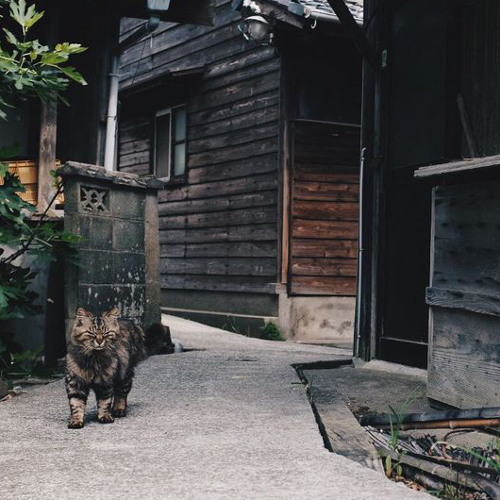 Monday Morning Mixtape