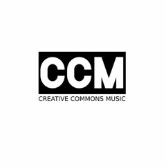 Chris Zabriskie - There's Probably No Time  [Creative Commons Music]