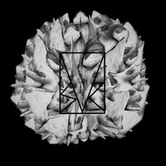 VSR #3 Wildest Stream