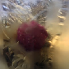 4 months after april