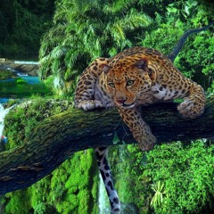 BEST OF JUNGLE TERROR DROPS