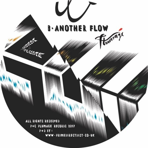 PREMIERE : Norm de Plume - Another Flow