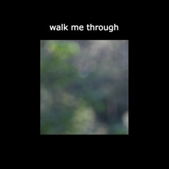 walk me through (lofi)