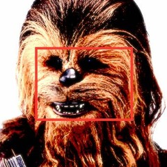 What's The Chewbacca Noise?