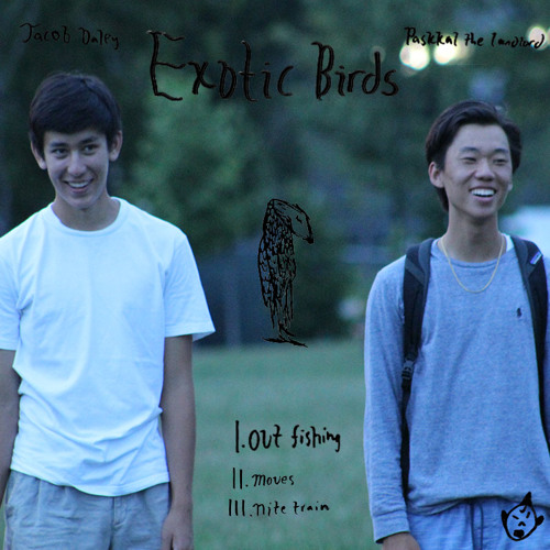 Exotic Birds