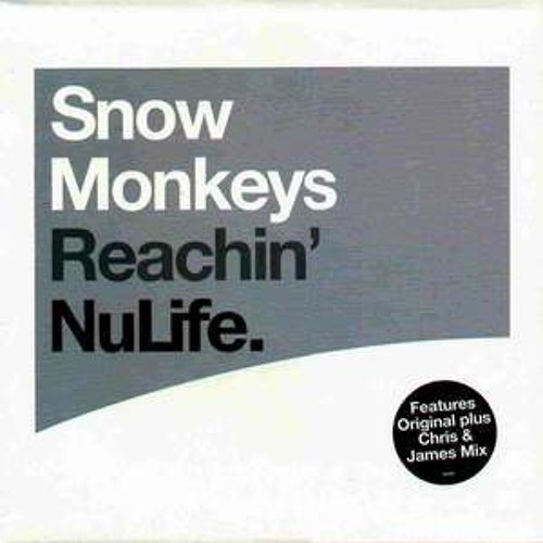 Snow Monkeys : Reachin' (Chris & James Mix) [NuLifeRecordings](2000)[NUX06]LINERip-MaOwn