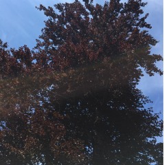 new vibes (Produced by Nathan Parsons)