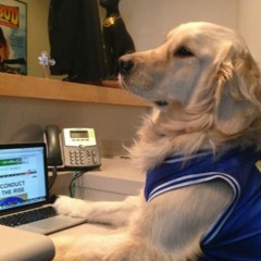 My Dog's Not Going to College (Prod. Godlike Pariah)