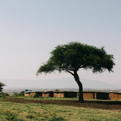 The hidden village