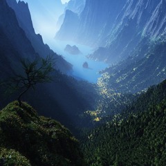 Organic House 08.09.2017, 13:20