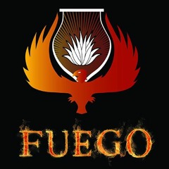 Nyce ~ Fuego M