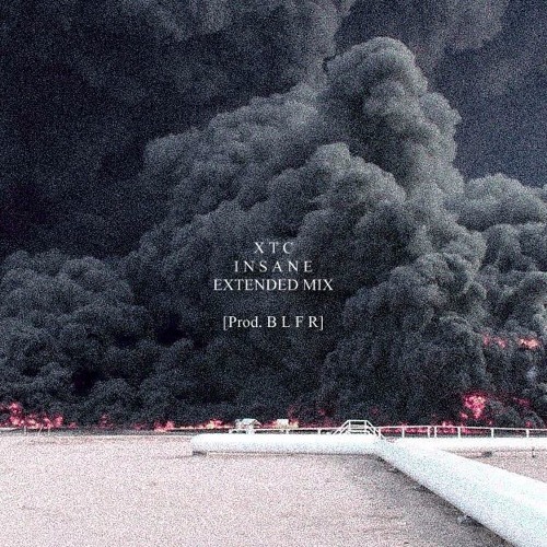 INSANE (Extended Mix)