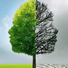 Bipolar Landscape