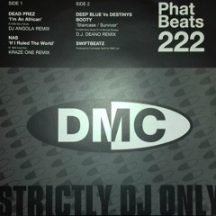 If I Ruled The World by Nas Feat Lauryn Hill (DJ Kraze One Remix)