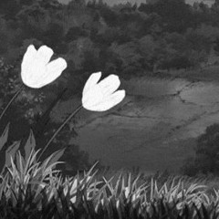 Ｇｏｎｅ Ｗｉｔｈ ｔｈｅ Ｗｉｎｄ - Mÿc