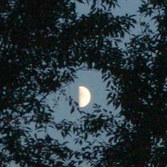 Silver Moon
