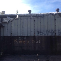 Across the Universe - Fiona Apple