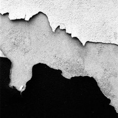 Bark