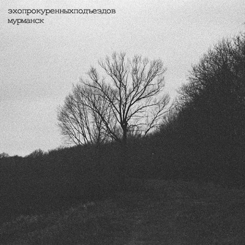 эхопрокуренныхподъездов - честерфилд