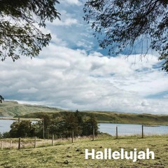 Hallelujah (Jeff Buckley/Leonard Cohen Cover)