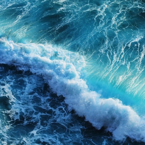 Whales are listening to you (cinematic)
