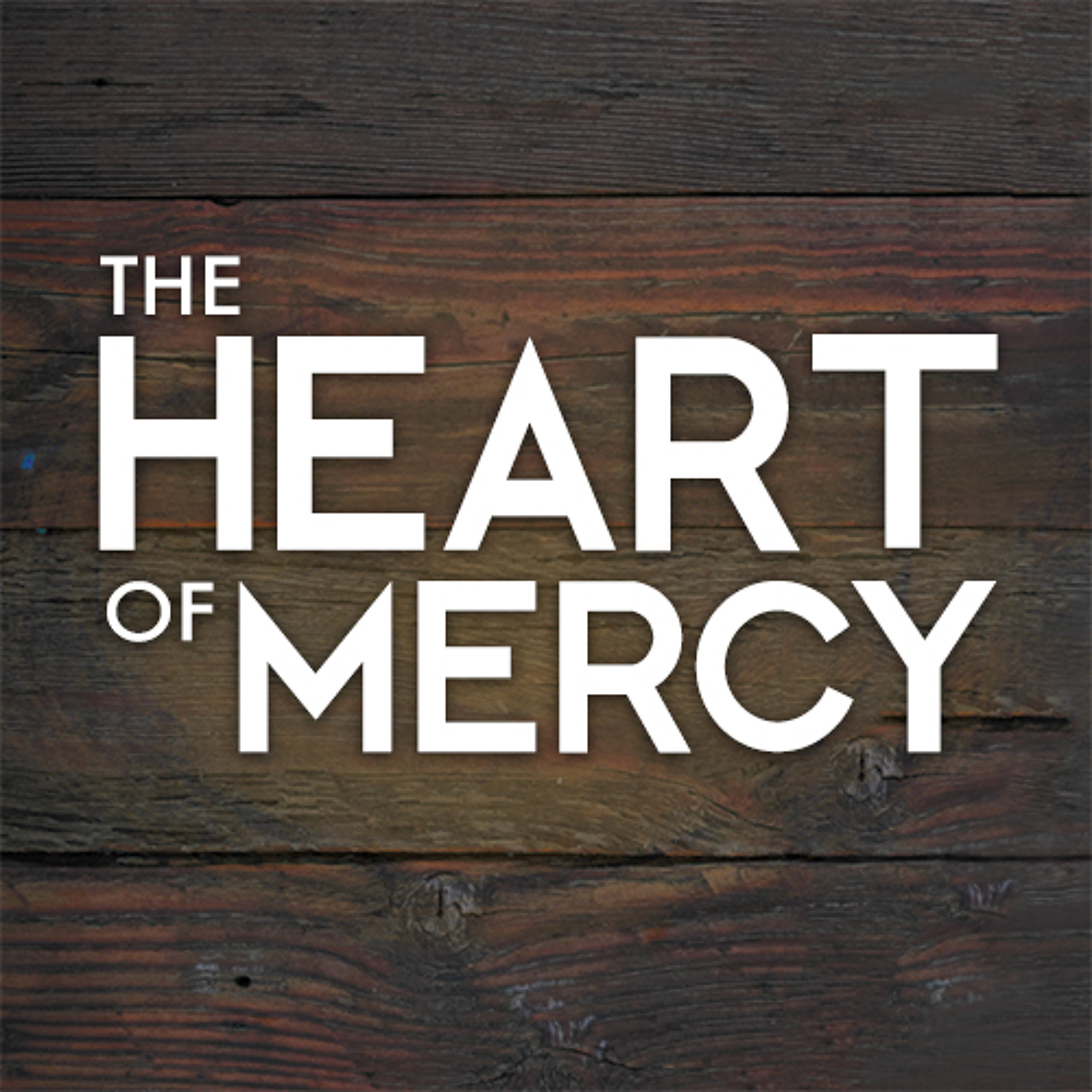 Mercy Forgives the Fallen episode artwork