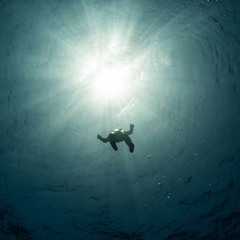 Deep Down Below (Effect Edit)