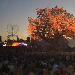 Burning Man: Marc, Mr Meseeks & Me