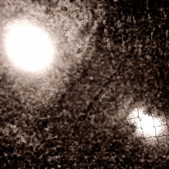 Diurne, n°2 (Moustique)