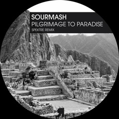 Sourmash - Pilgrimage To Paradise (Spektre Remix)