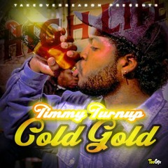 Timmy Turnup - COLD GOLD (THE RACE Remix)
