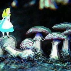 In Wonderland