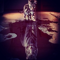 Revolution - 148 (ChillOut Mix 9.0)