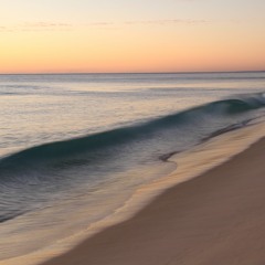 ELY - Felicity Wishes