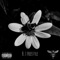 B. | freestyle (visuals below⬇️)