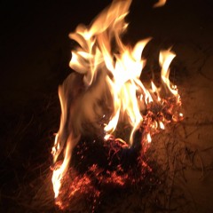 Trust (Prod. BlackMayo)