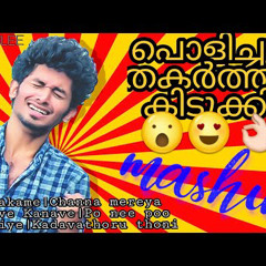 BLESSLEE - MASHUP(MALAYALAM,TAMIL,HINDI)