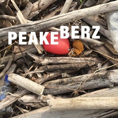 PEAKE BERZ SIDEBAR 2017