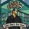 Luke Combs When It Rains It Pours Mp3