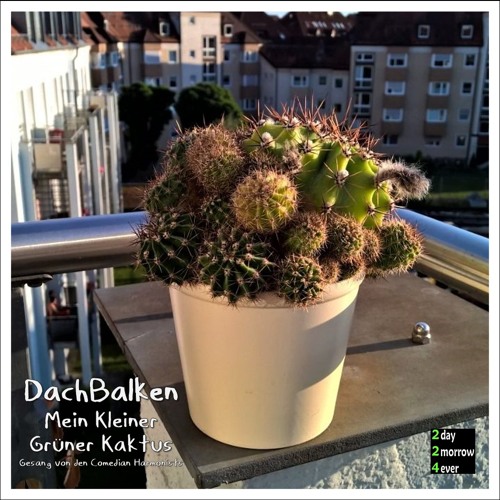 Stream DachBalken - Mein Kleiner Grner Kaktus (Instrumental) by  2day2morrow4ever | Listen online for free on SoundCloud
