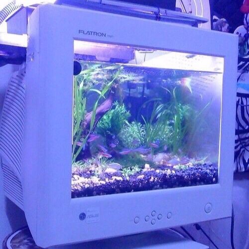 神聖なたわごと！ // ﻿ＴＨＩＳ  ＩＳ  ＶＡＰＯＲＷＡＶＥ