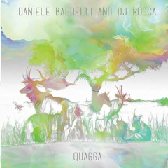 Daniele Baldelli & DJ Rocca - Poouli